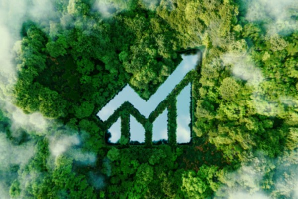 受关税政策影响 美国消费者对自身财务状况信心恶化